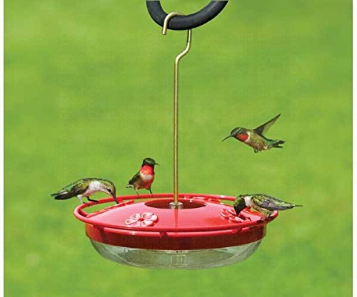 Aspects GC HummZinger Highview Feeder for Beekeepers at Home
| Aspects GC HummZinger Highview Feeder with Easy Refill S