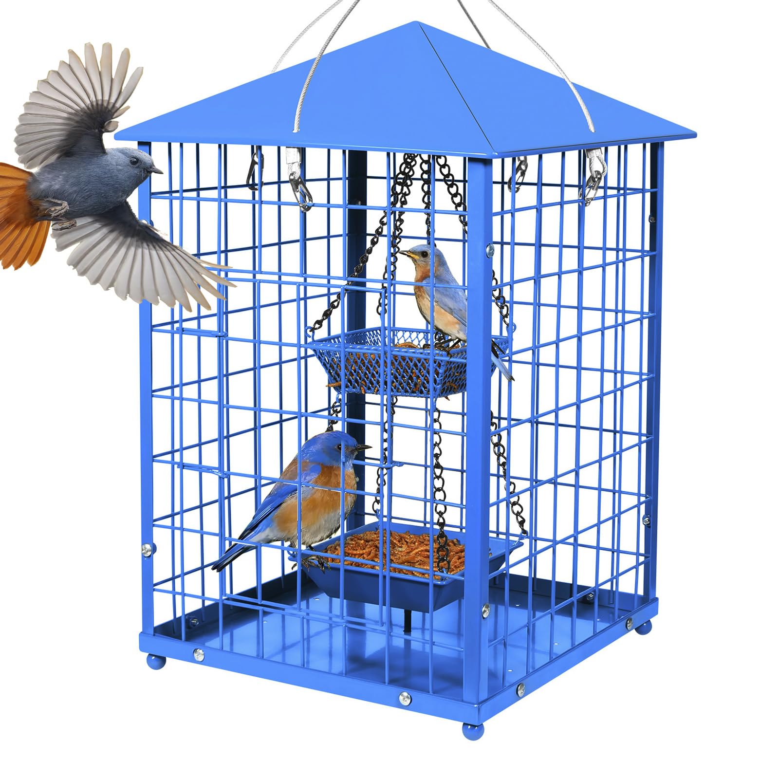 Metal Squirrel-proof Mealworms Bird Feeders for Bluebirds Outdoor Hanging