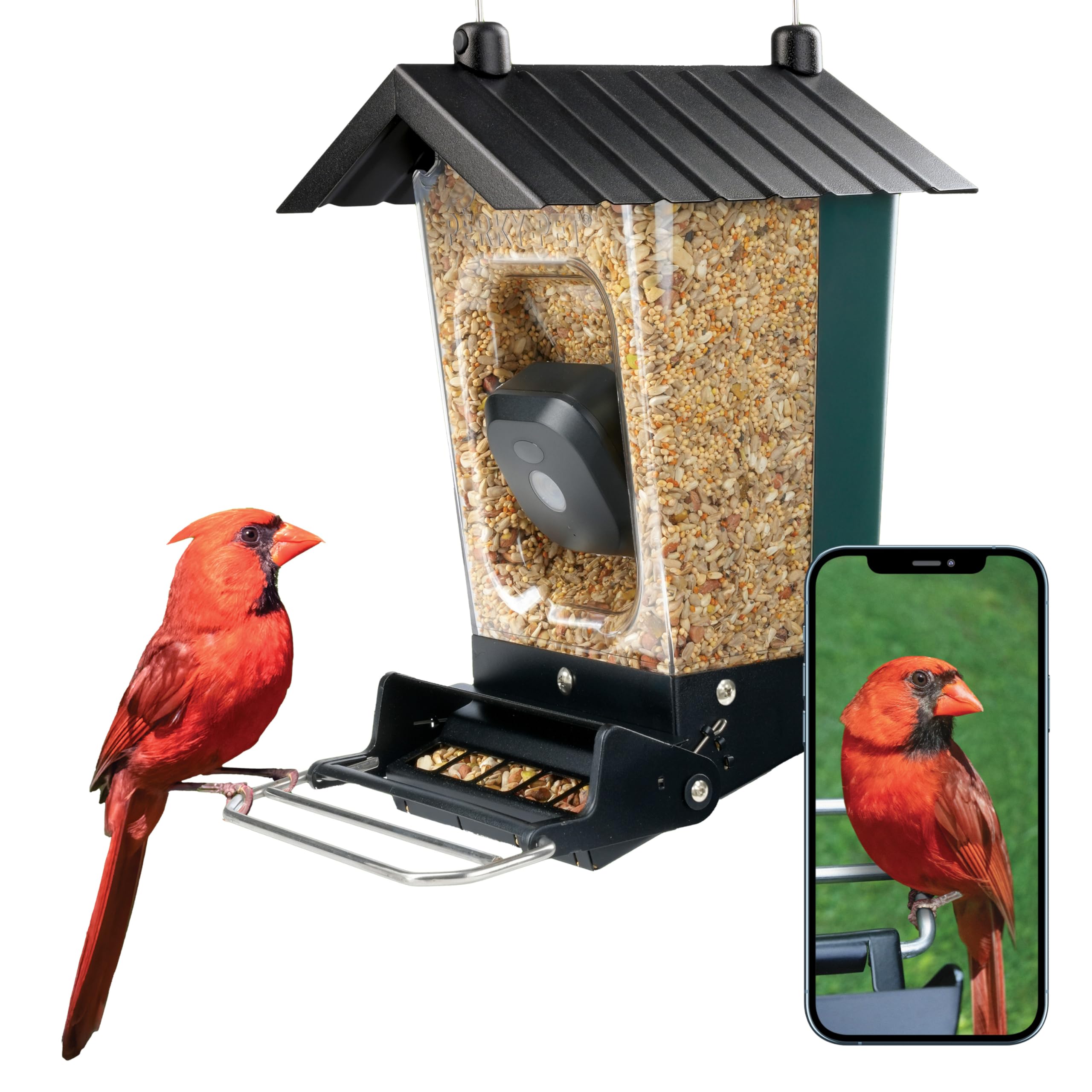 Perky-Pet Squirrel-Resistant Smart Bird Feeder with Motion Activated 1080p HD Camera for Outside Wi-Fi